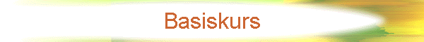 Basiskurs