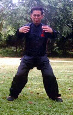 Tai Chi Chuan Three Circles Stance