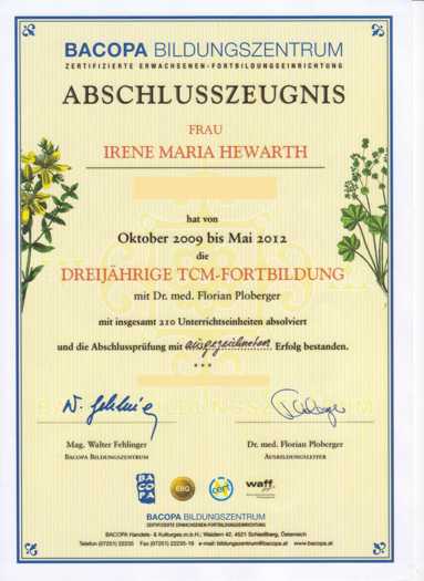 Qigong Linz TCM (traditionell chinesische Medizin) Zertifikat